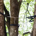 blog3