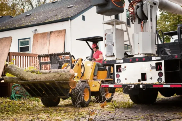 Tree Removal Permits in Adams County, PA: What Homeowners Need to Know